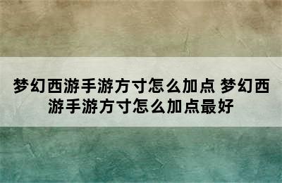 梦幻西游手游方寸怎么加点 梦幻西游手游方寸怎么加点最好